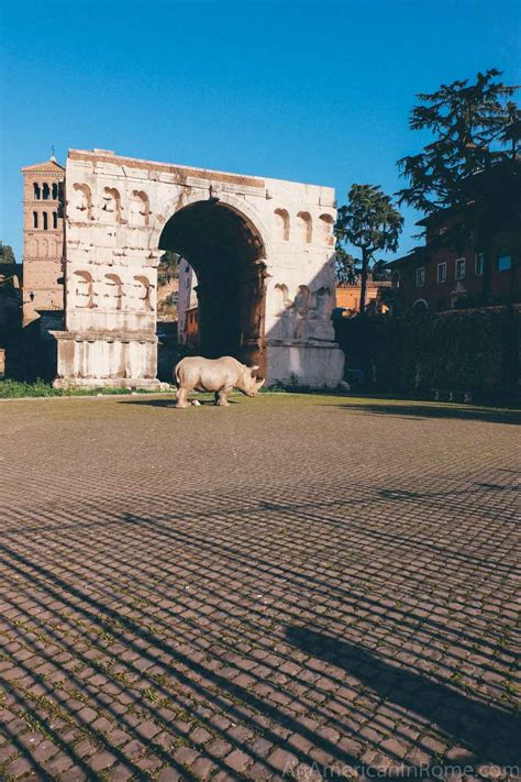 intervista alda fendi|alda fendi rhinoceros.